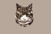 I will draw vector illustration dog cat animal pet cartoon portrait 7 - kwork.com