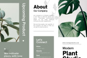 I will design your professional brochure design 18 - kwork.com