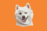I will make vector illustration dog, cat, animal, pet, cartoon portrait 9 - kwork.com