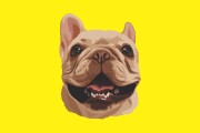 I will make vector illustration dog, cat, animal, pet, cartoon portrait 10 - kwork.com