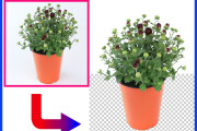 I will do photoshop clipping path and background remove 8 - kwork.com
