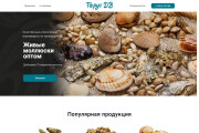 Сайт под ключ на TILDA 8 - kwork.ru