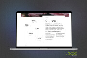 Web-design, Site design, Landing page, Online shop, multipage on Tilda 13 - kwork.com