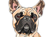 Draw your cat, dog, or any pet into cartoon portrait 6 - kwork.com