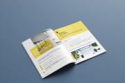 I will design business brochure, company profile, booklet,catalog 12 - kwork.com