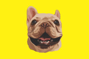 I will make vector illustration dog, cat, animal, pet, cartoon portrait 6 - kwork.com