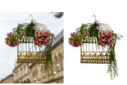 I will do Background removal of 20 images in 12 hr quickly delivery 16 - kwork.com