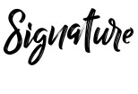 Awesome Signature, Handwritten or Typograhy Logo within 24 Hours 8 - kwork.com