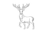 I will send 50 animal coloring book pages for your amazon KDP etsy 7 - kwork.com