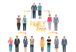 I will family tree genealogy flow chart, family illustration 8 - kwork.com