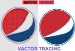 I will do vector tracing, vectorize, redraw convert image to vector 7 - kwork.com