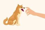 I will design cartoon logo for your dog and pet Creation 10 - kwork.com