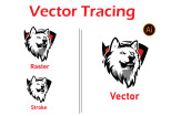 I will do manual vector tracing, image to vector, logos tracing 9 - kwork.com