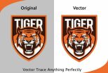 I Will recreate logo and image to vectorize 7 - kwork.com