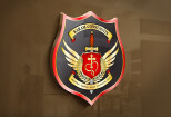 I will design any heraldic shield, coat of arms, or family crest 6 - kwork.com