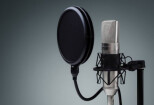 I will do voice Bengali voice over for your video 7 - kwork.com