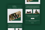 I will design a responsive HTML email template or newsletter 13 - kwork.com