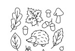 Linear vector graphics illustration in the style of doodle or line art 14 - kwork.com