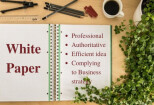 Write professional and authoritative white paper 4 - kwork.com