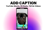 I will add captions for YouTube shorts, FB reels, TikTok videos 7 - kwork.com