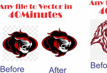 I will do image to vector raster to vector jpg to vector 8 - kwork.com