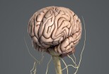 I will Create amazing 3d medical animation video 13 - kwork.com