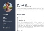 Eye catching cv, resume,cover letter writing by professional 4 - kwork.com