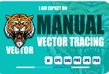 I will do manual vector tracing, redraw, recreate, update logo tracing 10 - kwork.com