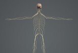 I will Create amazing 3d medical animation video 14 - kwork.com