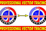 I will vector trace, vectorize a raster to vector in ninety minutes 10 - kwork.com