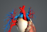 I will Create amazing 3d medical animation video 12 - kwork.com