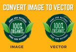 I will do manual vector tracing, convert logo or text to vector 10 - kwork.com