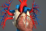 I will Create amazing 3d medical animation video 11 - kwork.com