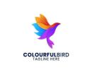 I will create colourful modern logo and unique designs 12 - kwork.com