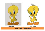 I will vector tracing, image to vector in 2 hours 7 - kwork.com