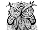 Beautiful Coloring Book Pages for Adults and Kids in PDF, JPG, and PNG 15 - kwork.com