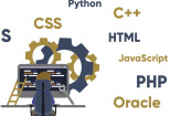 I will do web programming PHP, CSS, html, java, python, mysql 8 - kwork.com