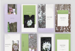 Languid Lavender Olivine - Instagram Pack - Feed+Stories Template +PSD 18 - kwork.com