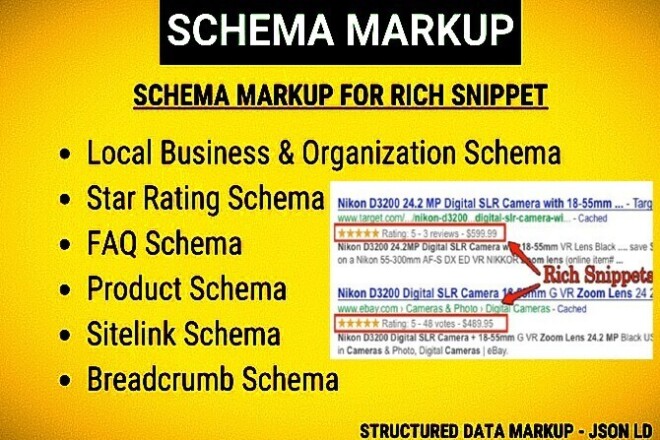 Advance Schema Markup Service